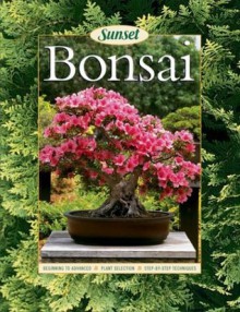 Bonsai - Susan Lang