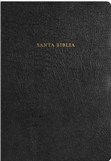 RVR 1960 Biblia de Estudio Arco Iris, negro piel fabricada - B&H Espanol Editorial Staff