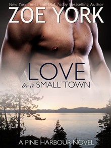 Love in a Small Town: The Soldier's Second Chance (Pine Harbour Book 1) - Zoe York