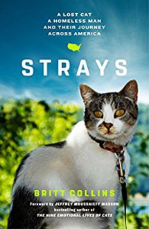 Strays - Britt Collins