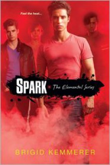 Spark (Brigid Kemmerer's Elemental Series #2) - Brigid Kemmerer