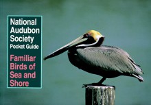 National Audubon Society Pocket Guide to Familiar Birds of Sea and Shore - National Audubon Society, Simon Perkins