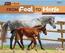 From Foal to Horse - Robin Nelson