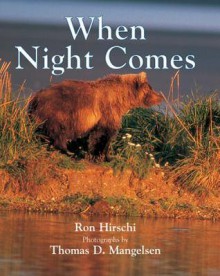 When Night Comes - Ron Hirschi