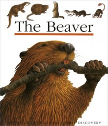 The Beaver - Sylvaine Peyrols