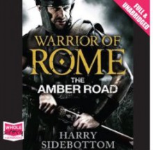 The Amber Road - Harry Sidebottom, Nick Boulton