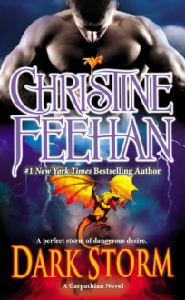 Dark Storm (Dark Carpathian, # 23) - Christine Feehan