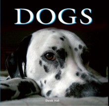 Dogs - Derek Hall