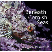 Beneath Cornish Seas - Mark Webster