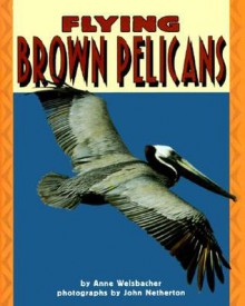 Flying Brown Pelicans - Anne Welsbacher