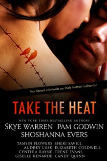 Take the Heat: A Criminal Romance Anthology - Skye Warren, Pam Godwin, Shoshanna Evers, Giselle Renarde, Tamsin Flowers, Elizabeth Coldwell, Cynthia Rayne, Trent Evans, Audrey Lusk, Sheri Savill