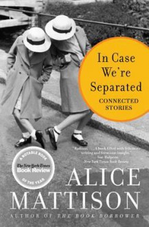 In Case We're Separated: Connected Stories - Alice Mattison