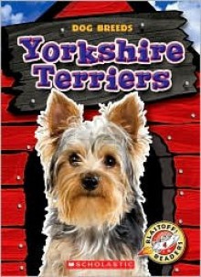 Yorkshire Terriers - Sara Green