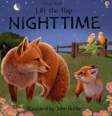 Nighttime Lift-The-Flap - Alastair Smith