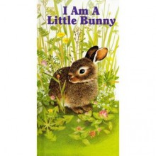 I Am a Little Bunny - Wishing Well