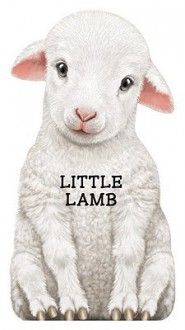 Little Lamb - Barron's Book Notes