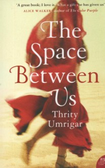 The Space Between Us - Thrity Umrigar