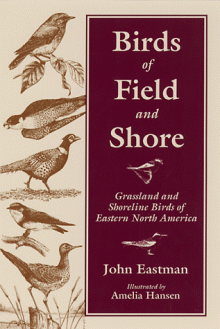 Birds of Field & Shore: Grassland and Shoreline Birds of Eastern North America - John Eastman, Amelia Hansen