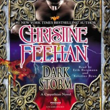 Dark Storm (Dark #23) - Christine Feehan, Erik Bergmann, Kristine Ryan