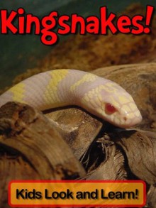 Kingsnakes! Learn About Kingsnakes and Enjoy Colorful Pictures - Look and Learn! (50+ Photos of Kingsnakes) - Becky Wolff