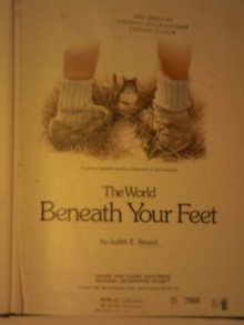 The World Beneath Your Feet - Judith E. Rinard