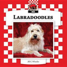 Labradoodles - Jill C. Wheeler