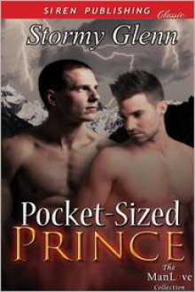 Pocket-Sized Prince - Stormy Glenn