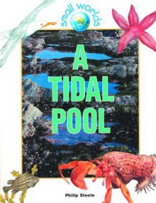 A Tidal Pool - Philip Steele