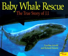 Baby Whale Rescue: The True Story of J.J - Caroline Arnold