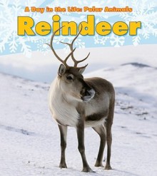 Reindeer (A Day in the Life: Polar Animals) - Katie Marsico