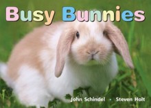 Busy Bunnies - John Schindel