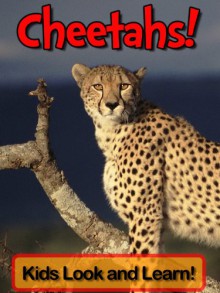 Cheetahs! Learn About Cheetahs and Enjoy Colorful Pictures - Look and Learn! (50+ Photos of Cheetahs) - Becky Wolff