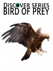 Birds of Prey: Discover Series Picture Book for Children (Kindle Kids Library) - Xist Publishing