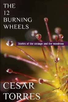 The 12 Burning Wheels - Cesar Torres