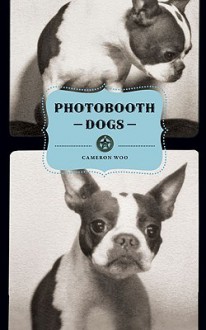 Photobooth Dogs - Cameron Woo