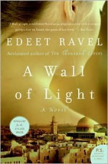 Wall of Light - Edeet Ravel