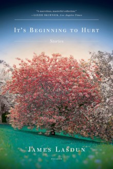 It's Beginning to Hurt: Stories - James Lasdun