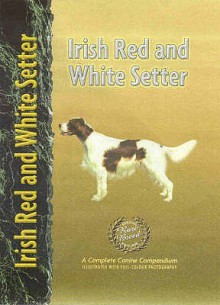 Irish Red And White Setter - Nona Kilgore Bauer