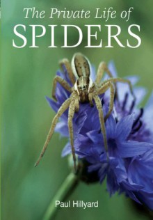 The Private Life of Spiders - Paul Hillyard