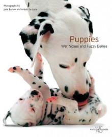 Puppies - Jane Burton, Araldo De Luca