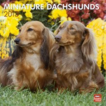 Dachshunds, Miniature 2013 Square 12X12 Wall (Multilingual Edition) - BrownTrout Publishers