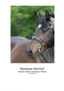 Maidstone Mischief - Amanda Thomas, Fergus Wilson