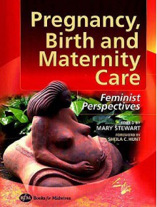 Pregnancy, Birth and Maternity Care: Feminist Perspectives - Mary Stewart