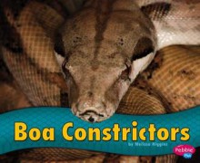 Boa Constrictors - Melissa Higgins