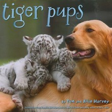 Tiger Pups - Tom Harvey, Keith Philpott, Allie Harvey, Craig Hatkoff