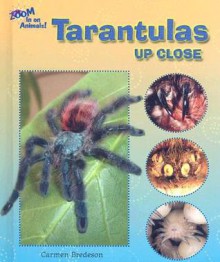 Tarantulas Up Close - Carmen Bredeson