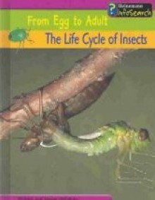 The Life Cycle Of Insects - Louise Spilsbury