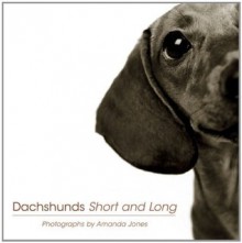 Dachshunds Short and Long - Amanda Jones