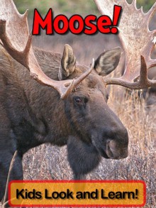 Moose! Learn About Moose and Enjoy Colorful Pictures - Look and Learn! (50+ Photos of Moose) - Becky Wolff