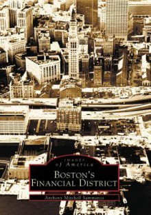 Boston's Financial District - Anthony Mitchell Sammarco